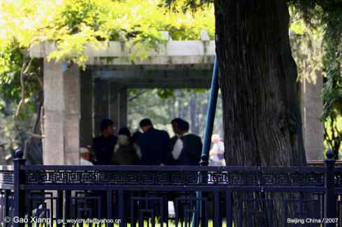 荷花坛子里的自然生物精灵小记