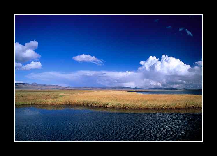 黑颈鹤主要繁殖地之一四川若而盖国家级自然保护区