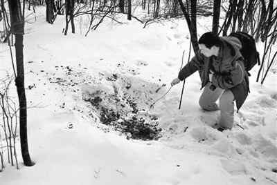 珲春：探访东北虎之乡