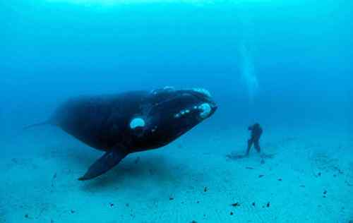 2008年度野外生态摄影大赛获奖作品