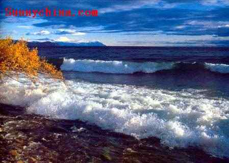 达赉湖国家级自然保护区