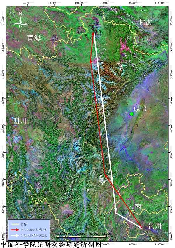 卫星定位:中科院昆明动物研究所首获黑颈鹤15条迁徙路线 卫星定位:中科院昆明动物研究所首获黑颈鹤15条迁徙路线
