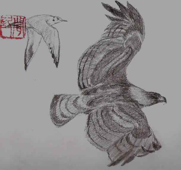 雕的识别 雕的识别