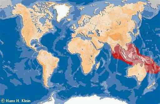 三国周处除三害  湾鳄(还有猛虎和他自己) 韩愈也参加了