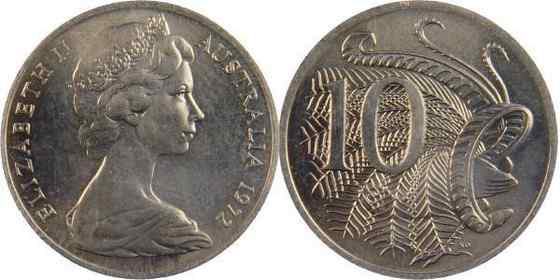 华丽的琴鸟 华丽的琴鸟