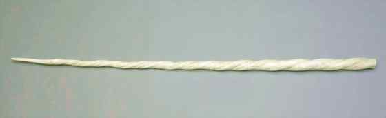 北冰洋中的独角兽 长“牙齿”的角鲸