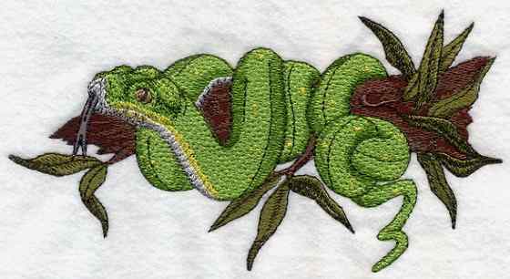 养蟒蛇当宠物 绿树蟒 养蟒蛇当宠物 绿树蟒