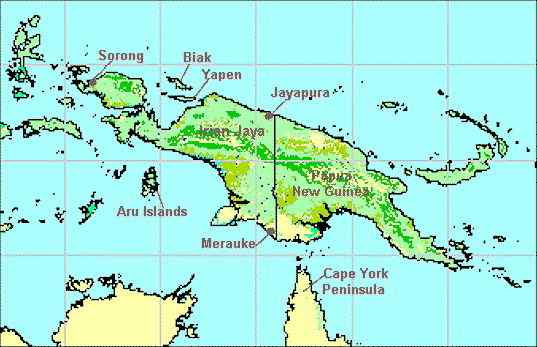 养蟒蛇当宠物 绿树蟒 养蟒蛇当宠物 绿树蟒