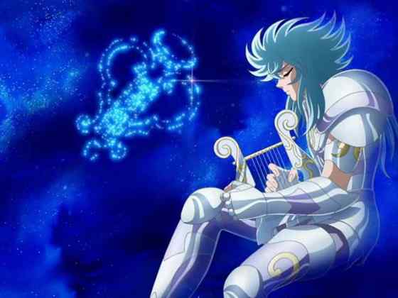 华丽的琴鸟 华丽的琴鸟