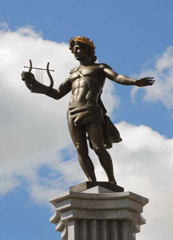 华丽的琴鸟 华丽的琴鸟