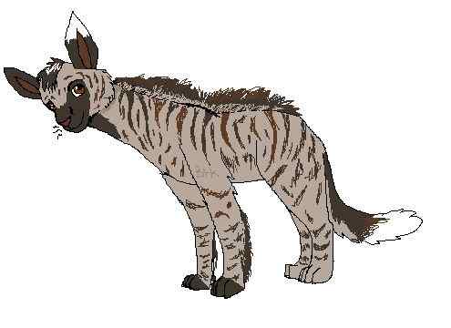 缟鬣狗 Hyaena hyaena 缟鬣狗 Hyaena hyaena