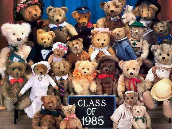 美洲数量最多、分布最为广泛的熊类  美洲黑熊