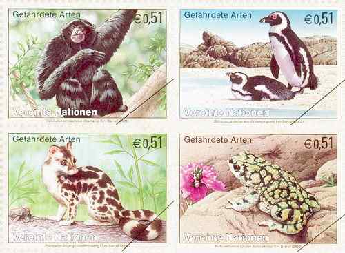 体型最大的长臂猿——马来亚长臂猿