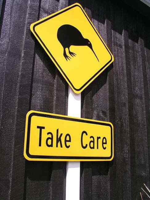 几维鸟 鹬鸵 KIWI 几维鸟 鹬鸵 KIWI