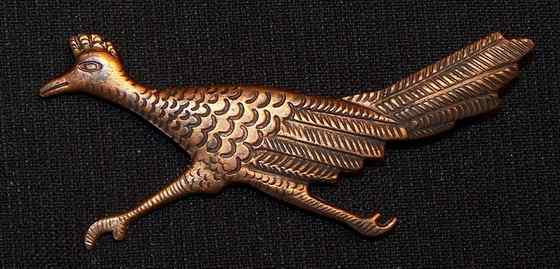 捉蛇抓蛇吃蛇的鸟  走鹃