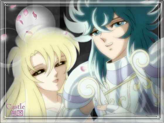 华丽的琴鸟 华丽的琴鸟