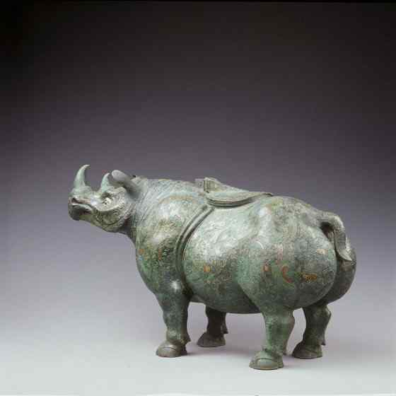 远古巨兽的直系后裔  亚洲犀牛 苏门答腊犀