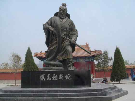 球蟒 受惊时会卷成球状的蟒蛇