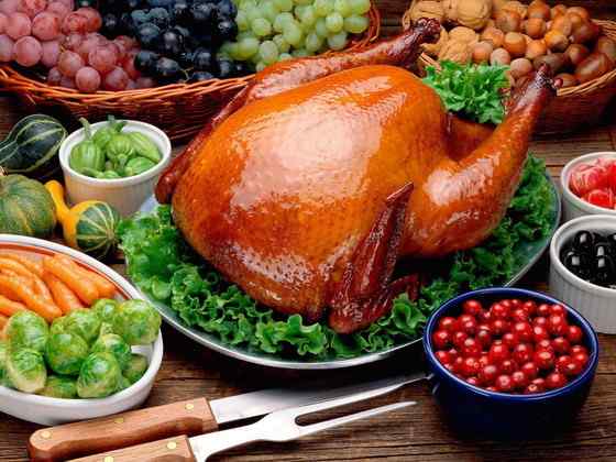 眼斑吐绶鸡 感恩节的故事