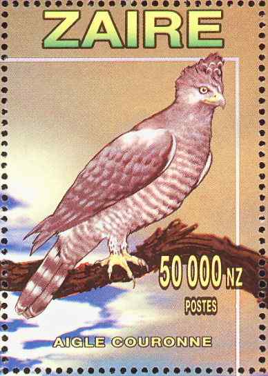 200万年前就吃人的猛禽  冕雕