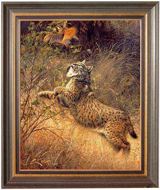 数量最少的猫科动物 伊比利亚猞猁、西班牙猞猁 数量最少的猫科动物 伊比利亚猞猁、西班牙猞猁