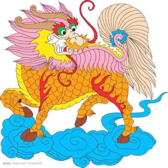 北冰洋中的独角兽 长“牙齿”的角鲸