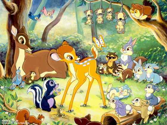 维吉尼亚鹿 白尾鹿