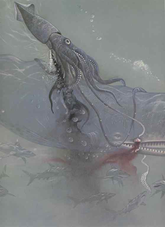 抹香鲸真的很香