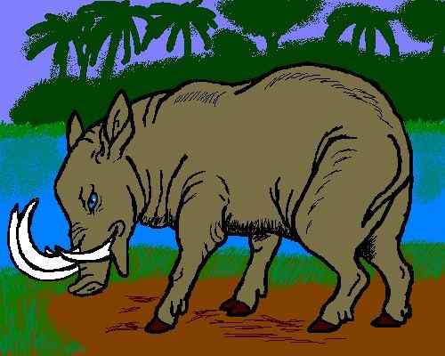 印度尼西亚的四牙猪  鹿豚