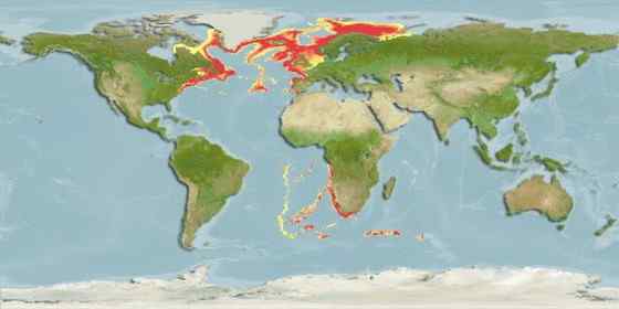 格陵兰鲨 睡鲨 格陵兰鲨 睡鲨