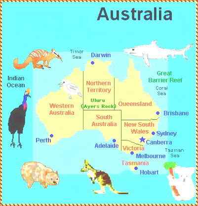 袋食蚁兽 Myrmecobius fasciatus