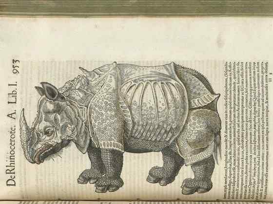 汉朝巨人与大独角犀 汉朝巨人与大独角犀