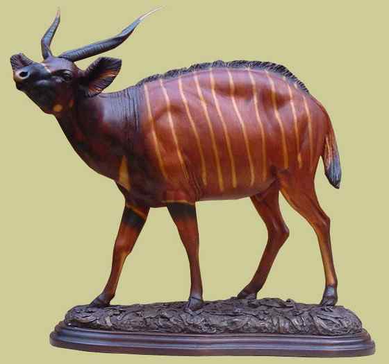 非洲最漂亮的羚羊之一 紫羚 bongo 非洲最漂亮的羚羊之一 紫羚 bongo