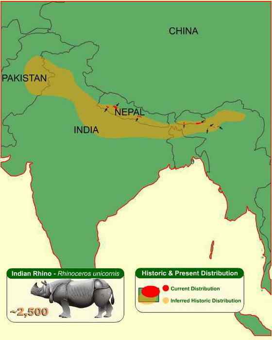 汉朝巨人与大独角犀 汉朝巨人与大独角犀