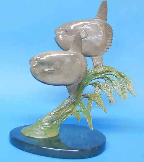 最大的硬骨鱼  巨大无比的头  翻车鱼