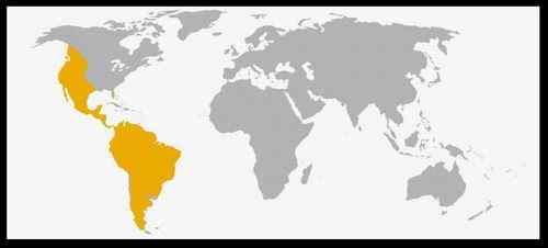 哥斯达黎加科郎——美洲狮