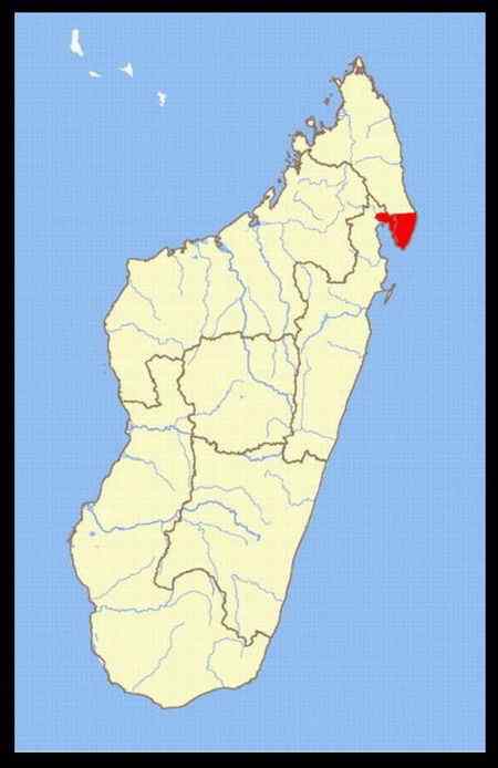 马达加斯加法郎上面的动植物