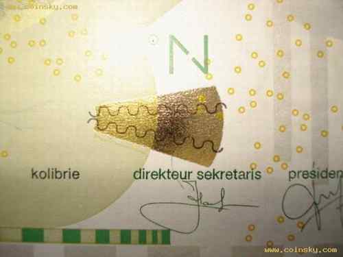 荷属安的列斯盾——紫喉蜂鸟