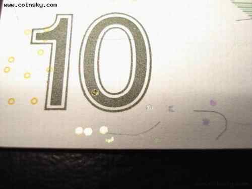 荷属安的列斯盾——紫喉蜂鸟