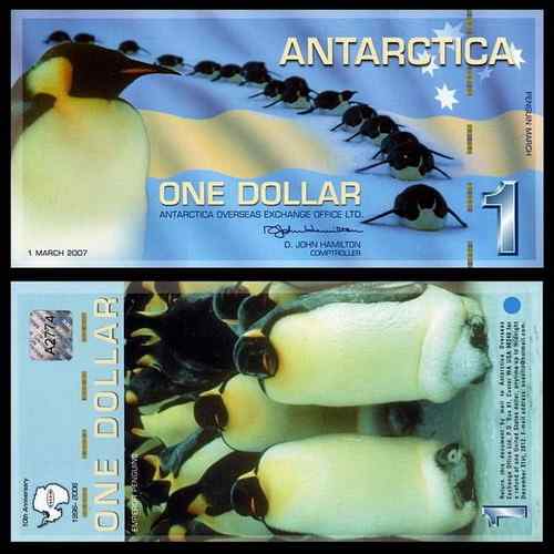 南极洲代用券——帝企鹅