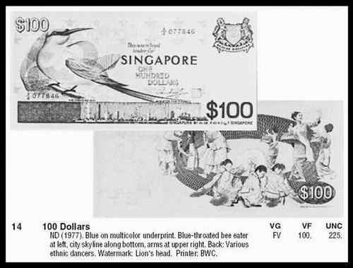 新加坡蓝喉蜂虎