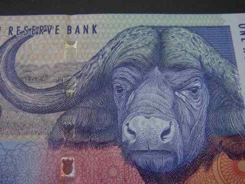 南非兰特——非洲象
