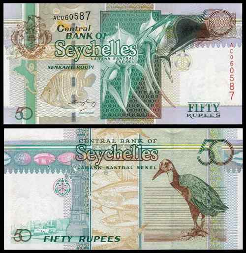 塞舌尔褐鹈鹕、天使鱼