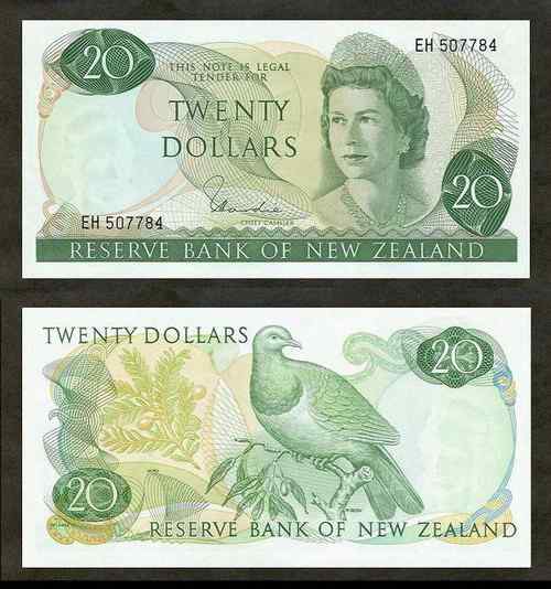 新西兰新西兰鸠 新西兰新西兰鸠