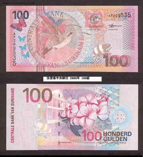 长尾隐蜂鸟 Eastern Long-tailed Hermit