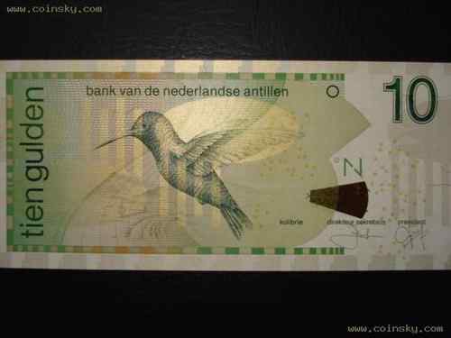 荷属安的列斯盾——紫喉蜂鸟