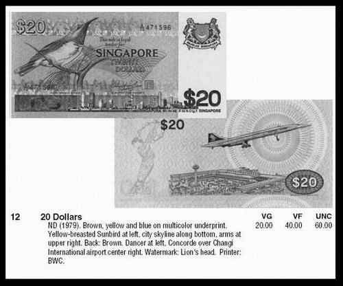 新加坡黄腹太阳鸟