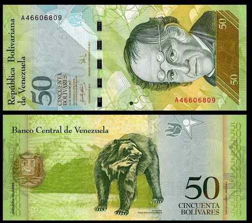 委内瑞拉玻利瓦尔上的眼镜熊