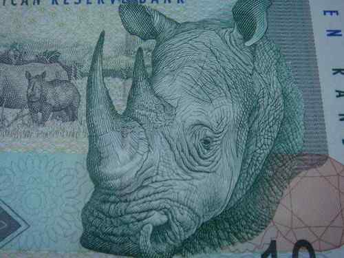 南非兰特——非洲象