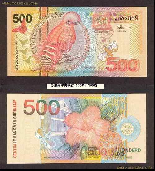 苏里南圭亚那动冠伞鸟 Guianan Cock of the rock